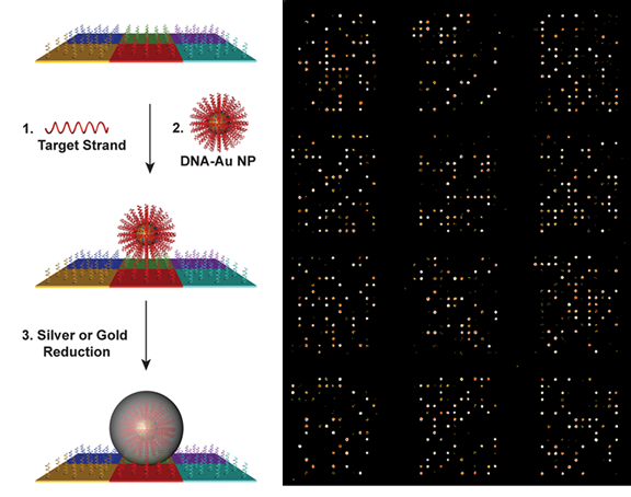 Size comparisons for PM particles — Science Learning Hub